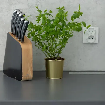 דירה Unique In With Parking, Sauna And Gym By Renters *