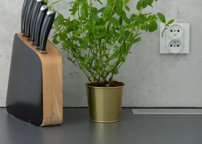 Апартаменты Unique In With Parking, Sauna And Gym By Renters *